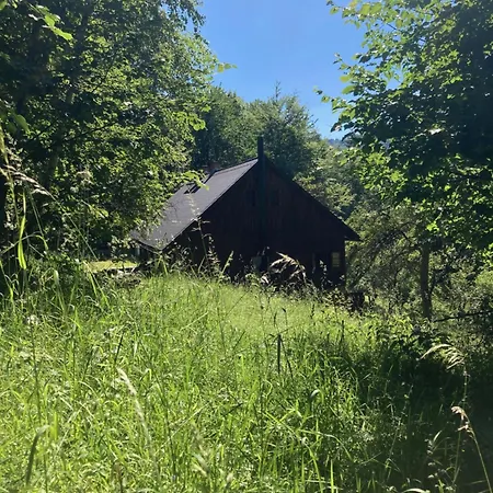 Apartmán - Na Samotě U Lesa Reka