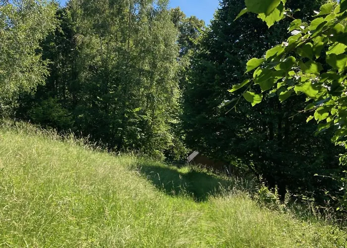 Apartmán - Na Samotě U Lesa Reka